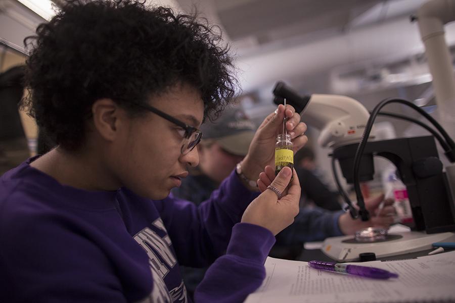 A student inspects a specimen in a lab.