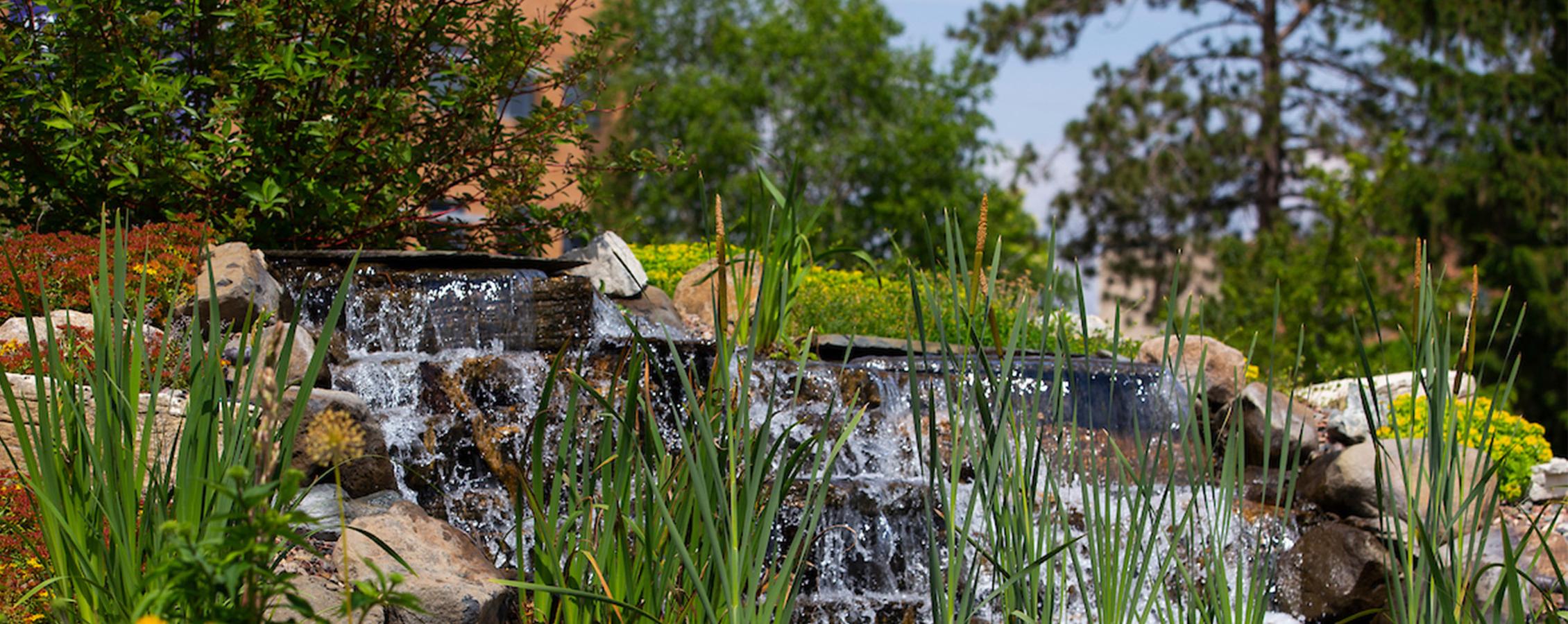 Garden and Landscape