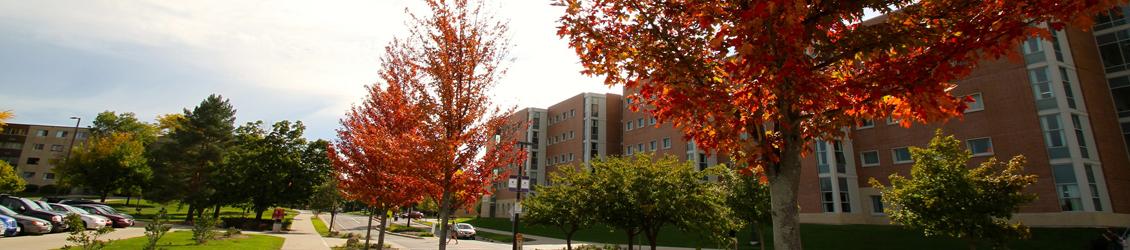 View of part of campus down Starin Road