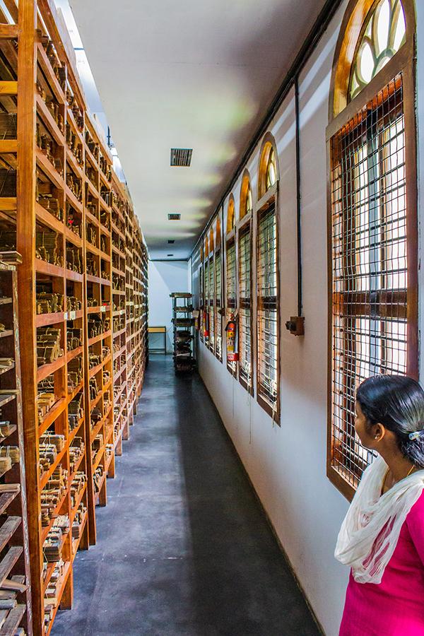 Woman in a manuscript library standing near windows