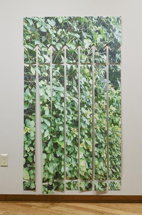 Ficus Fence Art Piece